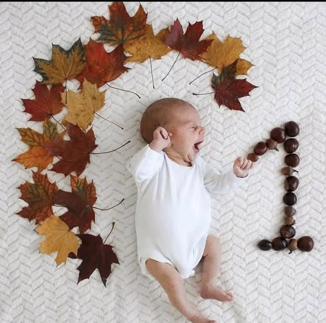 1 Month Thanksgiving Pictures, 1 Month Old Fall Baby Pictures, 1month Old Baby Pictures Ideas, Newborn Autumn Photography, Newborn 1 Month Pictures, Autumn Newborn Photoshoot, Baby Photoshoot Ideas 1 Month, 1 Month Old Baby Pictures Boy, 1 Month Baby Boy Photoshoot