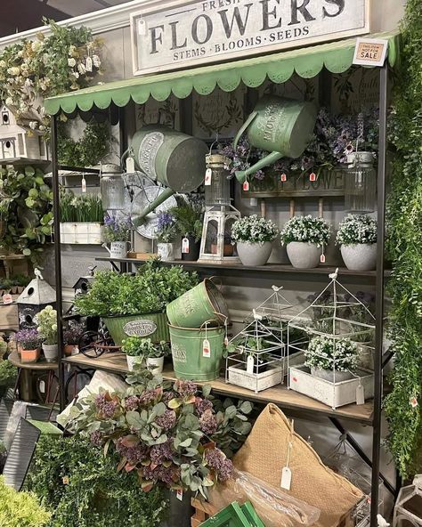 Flower Cage Decor, Garden Store Displays, Grocery Store Floral Displays, Floral Studio Work Spaces, Garden Shop Display Retail, Small Flower Shop Interiors, Farm Shop Plant Display, Storefront Floral Display, Flower Display Stand Farmers' Market