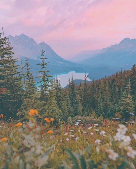 Vision Board Photos Mountains, Adventure Asthetic Picture, Hiking Vision Board Aesthetic, Mountains And Wildflowers, Lakes And Mountains, Mountain Images Photography, Nature Vision Board Aesthetic, Mountain Trail Aesthetic, Girly Nature Aesthetic