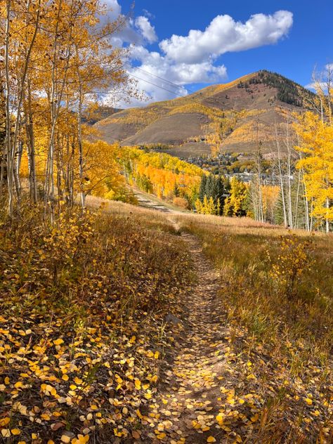 Colorado Autumn Aesthetic, Colorado In Fall, Fall Granola, Hiking Fall, 2024 Board, Colorado Fall, Aspen Colorado, Colorado Hiking, Aspen Trees