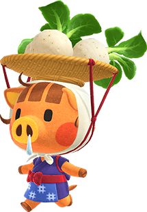 Animal Crossing Wiki, Animal Crossing Art, Animal Crossing Fan Art, Daisy Mae, Animal Crossing Characters, Animals Crossing, Animal Crossing Villagers, Animal Crossing Inspo, Animal Crossing New Horizon