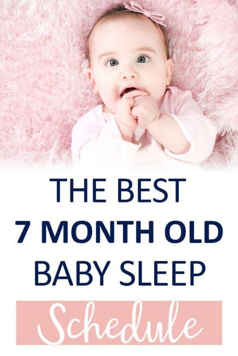 7 Month Old Schedule, 7 Month Old Sleep, 7 Month Baby, Baby Sleep Consultant, 7 Month Old Baby, Baby Samples, Newborn Needs, Baby Schedule, Baby Sleep Schedule