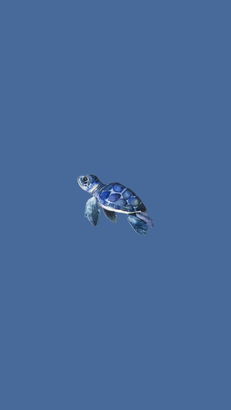 Turtle #fyp #trend #trending #shuffle #viralshuffle #follow #turtle #turtles #blue #blueaesthetic #aesthetic #beach Ipad Wallpaper Aesthetic Blue Ocean, Wallpaper Backgrounds Turtles, Ipad Wallpaper Teal, Cute Blue Pictures, Aesthetic Ipad Homescreen Layout Blue, Idc Aesthetic Wallpapers, Aesthetic Turtle Wallpaper, Image Aesthetic Bleu, Cute Aethestic Wallpaper