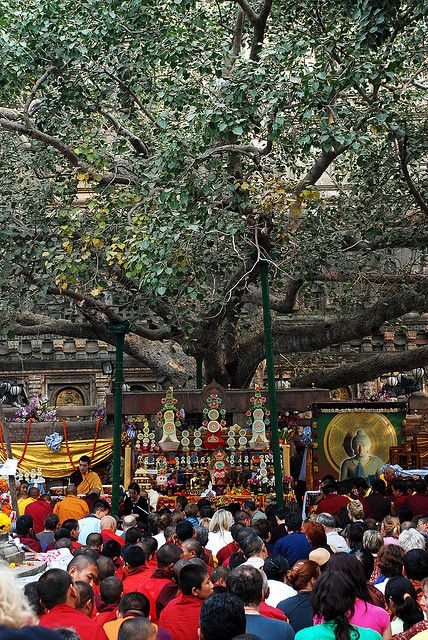 Buddha Gaya Temple, Bodh Gaya Temple, Mysterious Architecture, Mahabodhi Temple, Board Collage, Bodh Gaya, Temple India, Buddha Temple, Bodhi Tree