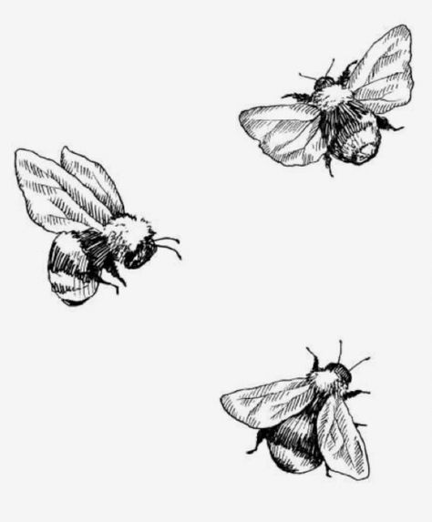 Drawing Bodies, Tatuaje Studio Ghibli, Bee Sketch, Bee Tattoos, Bee Drawing, Bug Tattoo, Muster Tattoos, Inspiration Tattoos, Geniale Tattoos