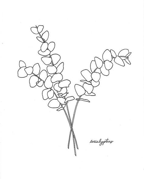 Eucalyptus Drawing, Flower Line Drawing, Eucalyptus Flower, Botanical Line Drawing, Feuille Eucalyptus, 카드 디자인, Floral Drawing, Drawing Simple, Print Illustration