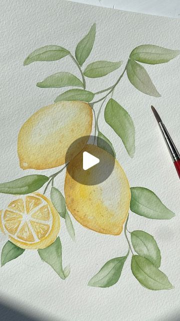 Romana Meijer on Instagram: "Have you painted 🍋 before? 
Normally I don’t paint without a sketch, but this felt liberating! Should totally do it more often. 

What do you like to paint without a plan? Maybe I will try it out 😃

.
.
.
.
.

#metallicwatercolors #watercolors #lemons #lemonart #mindfulnes  #sparkly #botanicalart  #aesthetic #watercolorart #metallic #metallicpaint #glitterpaint #watercoloridea #watercolorideas #watercolorartist #artdaily #aquarelle #aquarela #paintingoftheday #whattopaint #watercolourweekly #water_lesson #illustrationnow #watercolor_guide #watercolor_guild" Water Lessons, Watercolor Guide, Lemon Watercolor, Lemon Art, Glitter Paint, Watercolor Artist, Daily Art, Metallic Paint, Botanical Art