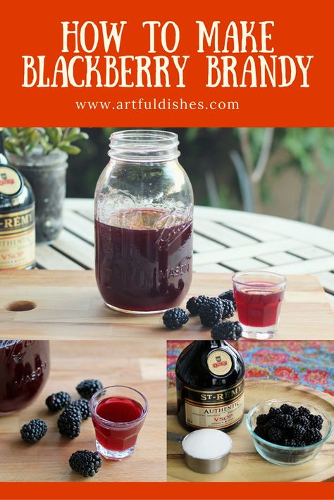 How to make blackberry brandy at home! #homemadebrandy #blackberrybrandy #foodproject