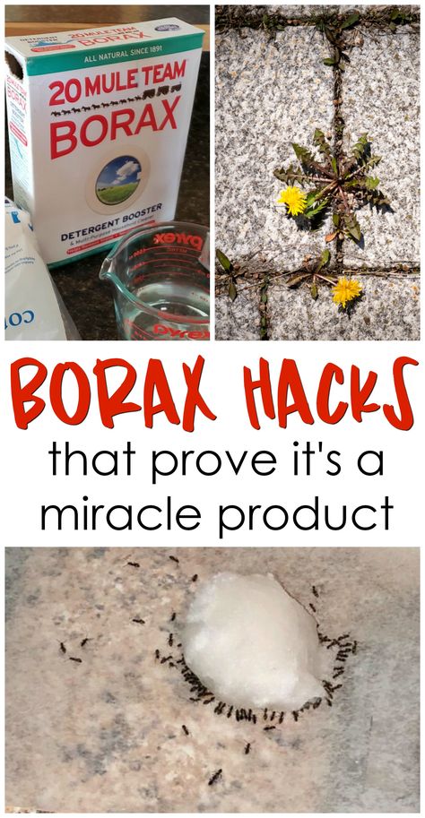 Borax Hacks, Borax Uses, Borax Cleaning, Clean Baking Pans, Cleaning Painted Walls, Deep Cleaning Tips, Party Deco, Household Cleaning Tips, Cleaning Recipes