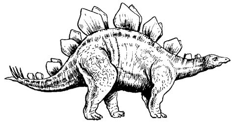 I have chosen this drawing of a stegosaurus because I like the texture in the scales across the back bone of the dinosaur. Stegasorus Dinosaur Drawing, T-rex Art, T Rex Tattoo, Dino Drawing, Dinosaur Sketch, Dinosaur Tattoos, Dinosaur Drawing, Dinosaur Skeleton, Dog Coloring Page