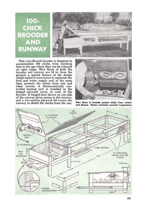 Popular Mechanics Plans, Popular Mechanics Diy, 0 Waste, Poultry House, Mechanic Shop, Open Range, Animal Husbandry, Popular Mechanics, Backyard Chickens