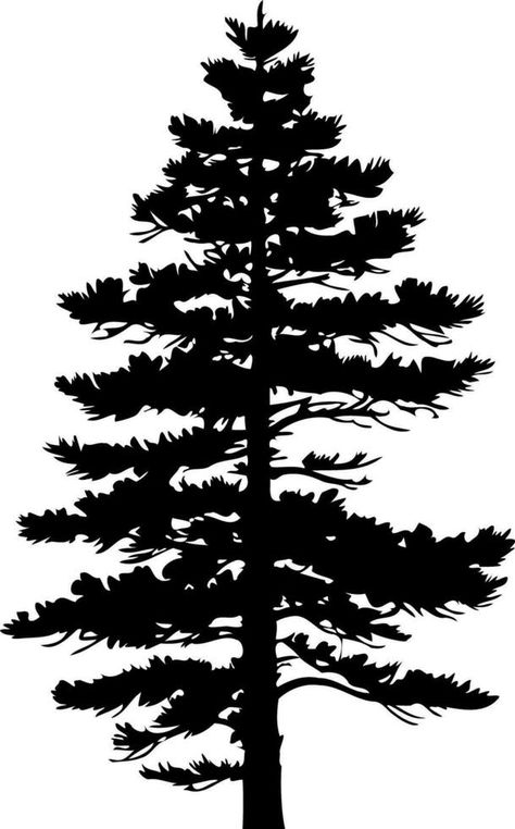 Pine tree silhouette