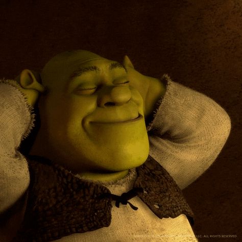 chill relax shrek dreamworks dreamworks animation dwa chill out ogre franchise nap time do not disturb me time happy place dont bother me Shrek Dreamworks, It Gif, Dreamworks Animation, Do Not Disturb, Cartoon Gifs, Deal With It, Shrek, Nap Time, Me Time