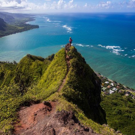 Kalen Emsley on Instagram: “This is one of the best views I've ever seen of the ocean! @brookewillson standing at the top of the the Crouching Lion hike in Oahu.” Oahu Hikes, Hawaii Hikes, Oahu Travel, Beautiful Hikes, Aloha Hawaii, Ordinary People, Go Hiking, Travel App, Oahu Hawaii