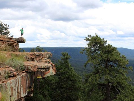 Mogollon Rim Hikes, AZ: Payson area & surrounding Arizona Day Trips, Mogollon Rim, Hikes In Arizona, Payson Arizona, Southwest Travel, Arizona Adventure, Payson Az, Waterfall Trail, Arizona Road Trip