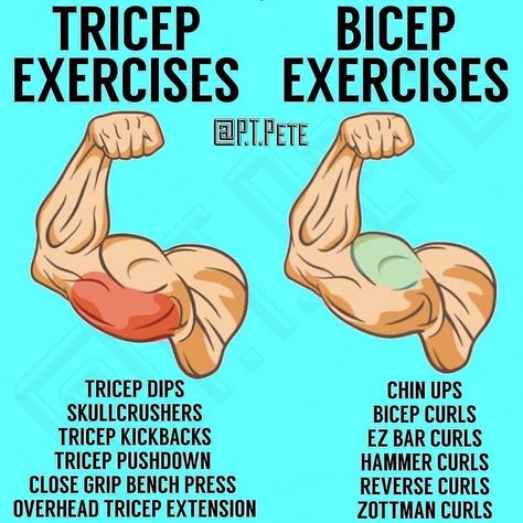 Jaebien Rosario, CPT, CNC, PLC on Instagram: “💪How to Build Bigger Arms💪 Tag a friend who wants bigger arms! -  Follow @mr.cogfit for daily fitness/nutrition tips and education📚 -…” Reverse Curls, Overhead Tricep Extension, Tricep Pushdown, Tricep Kickback, Big Arms, Men Workout, Bigger Arms, Getting Stronger, Tricep Extension