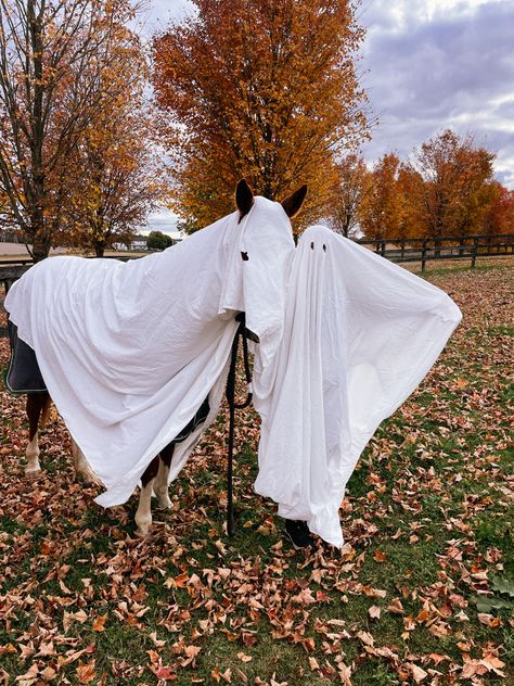 #horsecostume #horseghost #horsehalloween #animalcostume #spookyszn Diy Horse Halloween Costumes, Halloween Horse Costume Ideas, Horse Ghost Costume, Halloween Costumes With Horses, Halloween Horse Photoshoot, Halloween Horse Costumes, Halloween Costumes For Horses, October Widgets, Horse Halloween Ideas