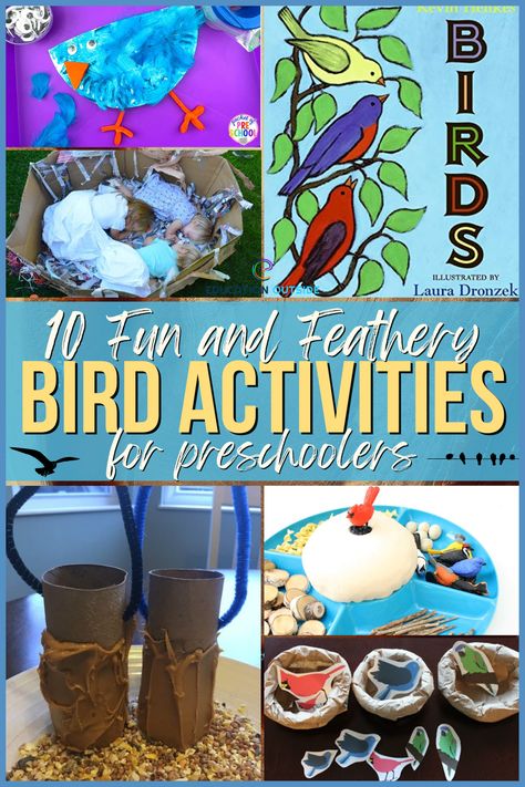 Watching birds in your backyard or nearby park is also a great way to spend quality time together while learning about these amazing creatures. And what could be more fun than making a sensory bin filled with bird nests and eggs? Your child will love exploring all the different textures and colors. Birds Preschool, Bird Activities, Homeschool Units, Pre K Worksheets, Bird Beaks, Bird Nests, Activities For Preschool, Bird Eggs, Bird Book