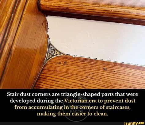 Hahah :) Dust Corners, Victorian Stairs, Science Board, Unknown Facts, The Victorian Era, Mumbai Maharashtra, Boho Living, Little Houses, House Designs