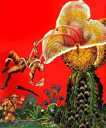 Science Fiction and Fantasy Reading Experience: "Steampunk" Anthology, Edited by Ann and Jeff VanderMeer Jeff Vandermeer, Man Eating Plant, Halloween Villain, Plant Monster, Man Eating, Little Shop Of Horrors, Alien Creatures, Artist House, Carnivorous Plants