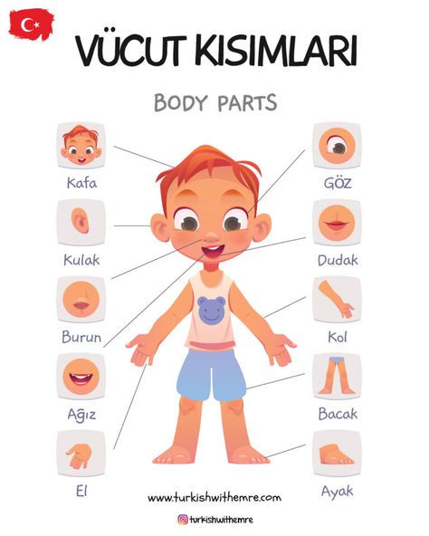 Turkish Vocabulary, Turkish Lessons, Learn Turkish Language, The Five Senses, Language Worksheets, Toddler Arts And Crafts, Turkish Language, Five Senses, Learn German