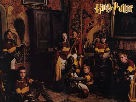 Gryffindor quidditch team Harry Potter Beasts, Quidditch Gryffindor, Sean Biggerstaff, Gryffindor Quidditch, Oliver Wood, Harry Potter Quidditch, Buku Harry Potter, Fred And George Weasley, Fred Weasley