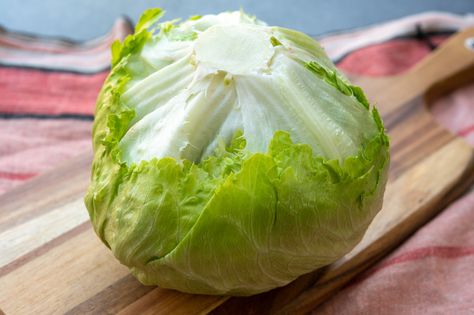 Grow Lettuce From Scraps, Growing Lettuce From Scraps, How To Grow Lettuce From Scraps, Lettuce Regrow, How To Regrow Lettuce, Regrow Vegetables From Scraps, Regrow Lettuce, Romaine Lettuce Growing, Regrow Celery