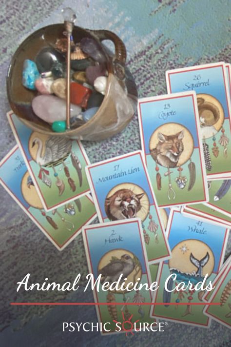 Animal medicine cards allow you to harness the wisdom, power, and guidance of animals and nature. Learn the history and how to perform spreads for insight into your future. Explore how Native American medicine cards can deepen your connection at our website. Medicine Cards Native American, Animal Medicine Cards, Whale Meaning, Medicine Cards, Native American Medicine, Native American Animals, Butterfly Transformation, Witchy Garden, Whale Stuffed Animal