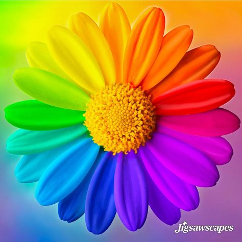 Flower Rainbow, Neon Nights, Vintage Drawing, Flower Art Images, Phone Wallpaper Design, Wallpaper Design, Album Bts, Rainbow Colors, Flower Art