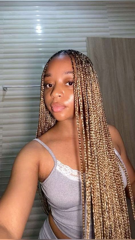 Box Braids With Blonde In The Back, Black Hair With Blonde Braids, Different Color Box Braids Black Women, Brown Individual Braids, Long Blond Braids Black Women, Different Color Goddess Braids, Blond Blended Braids, African American Braid Hairstyles, Brown Braids With Peekaboo