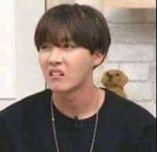 same hobi<<THAT DOG IN THE BACKROUND THOOOO Disgusted Face, Memes In Real Life, Bts Meme Faces, Bts Reactions, Kpop Meme, Memes Kpop, Relationship Memes, Meme Faces, Bts J Hope