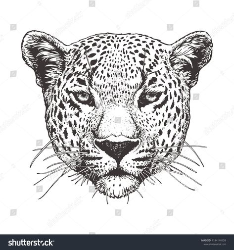 Portrait of Leopard, hand-drawn illustration, vectorhand#Leopard#Portrait#vector Cheetah Drawing, Realistic Animal Drawings, Cheetah Face, Leopard Tattoos, Sick Tattoo, Leopard Face, Leopard Head, Magic Tattoo, Horror Tattoo