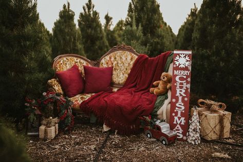 Michelle C.Smith Photography on Instagram: “Vintage couch 🛋 minis with snow machine this Sunday, Dec 1st. $239 mini. 20 mins and 10 images. Pay 💰 in full and get 5 free images 📸…” Couch Christmas Mini Session, Santa Minis Photography, Antique Couch Photoshoot, Santa Picture Set Up, Christmas Couch Photoshoot, Christmas Couch Mini Sessions, Christmas Mini Set Up Outdoor, Mini Christmas Photo Session Ideas, Vintage Couch Photoshoot