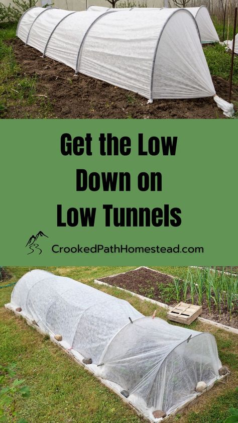 Get the low down on low tunnels by Crooked Path Homestead. Text banner accompanied by 2 photos of plastic covered mini hoop houses Diy Flower Tunnel, Diy Low Tunnel, Low Tunnel Hoop House, Low Tunnel Gardening, High Tunnel Gardening, High Tunnel, Tunnel Greenhouse, Greenhouse Ideas, Smart Garden