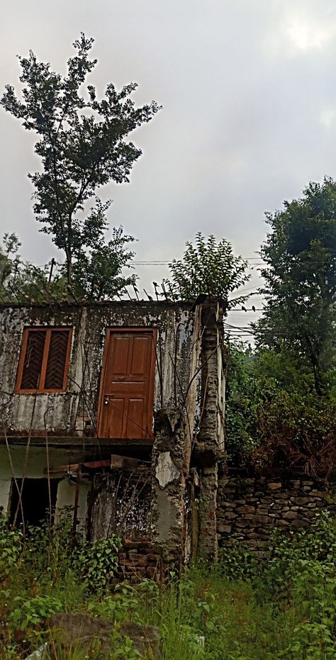 A vintage old house in middle of a jungle #old #vintage #broken #jungle #foresthouse #small #villagediaries #madeofclay #memories #olddays Green Tea Face, Forest House, Old Vintage, Old House, Hair Hacks, Green Tea, Anti Aging, House Styles, Green