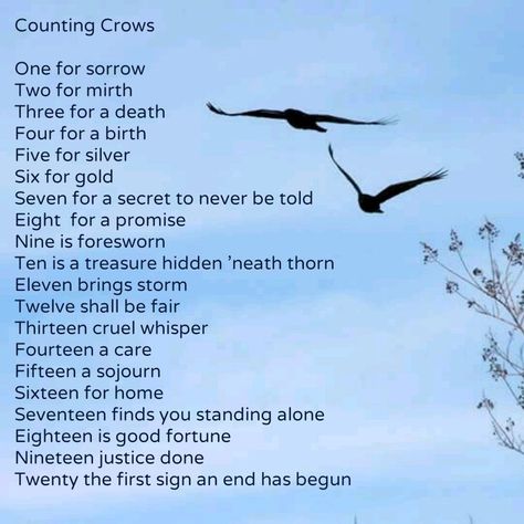 (I love this version) One For Sorrow, Counting Crows, Writing Dialogue Prompts, Writing Motivation, Writing Inspiration Prompts, Book Writing Inspiration, Writing Dialogue, Book Writing Tips, Writing Words