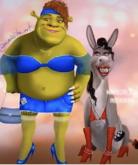 Shrek And Donkey, Shrek Character, Shrek Funny, Shrek Donkey, Shrek Memes, Funny Pix, Crazy Funny Pictures, Snapchat Funny, 웃긴 사진