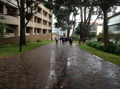 My school SFSU Sfsu Campus, School Campus Exterior, Huge School Campus, Campus Martius, Uplb Campus, My School, I School, 2024 Vision, Fall 2024