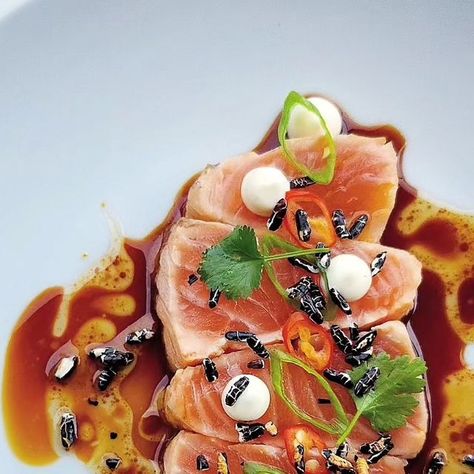 Salmon Tataki, Food Salmon, Plating Ideas, Puffed Rice, Seafood Appetizers, Aioli, Food Images, Montreal, Appetizer