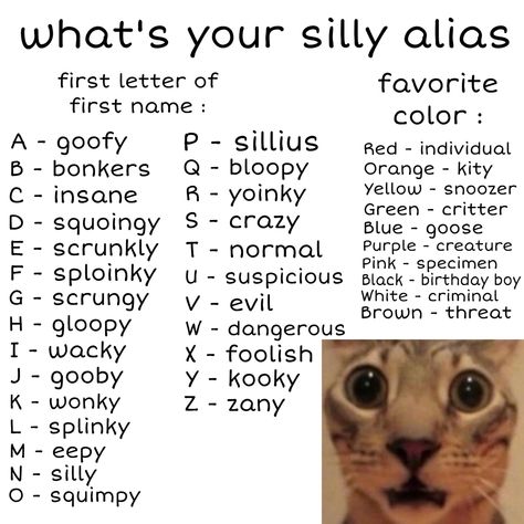 Silly Reaction Drawings, Silly Core, Silly Names, Hiiii Cat Meme, Silly Cars, Silly Words, Cat Memes Hilarious, Cute Cat Memes Hilarious, So Silly