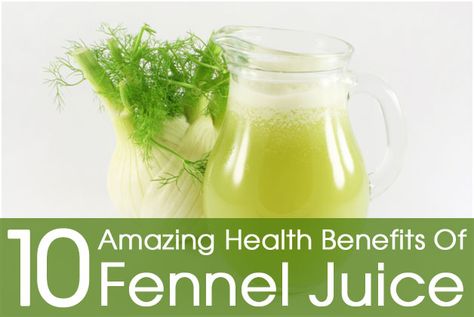 10 Amazing Health Benefits Of Fennel Juice Fennel Juice Benefits, Fennel Health Benefits, Fennel Benefits, Fennel Juice, Benefits Of Fennel, Juice Benefits, Juicing Benefits, Summer Smoothies, Homemade Remedies