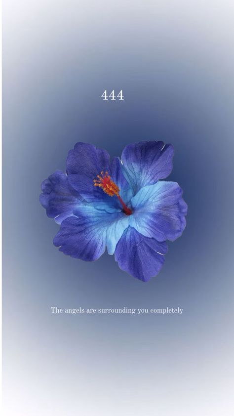 angels numbers Angel Number 444 Aesthetic, 444 Aesthetic, Number 444 Meaning, Surrounded By Angels, 444 Meaning, 444 Angel Number, Peaceful Aesthetic, Angel Number 444, Angel 444