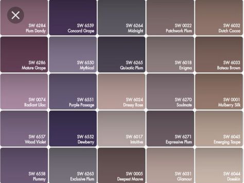 Color scheme for little girls room! Purple and grey walls, tan carpet. Brown accents in furniture. Love it! Bedroom Paint Colors Grey, Plum Paint, Purple Paint Colors, Bedroom Purple, Purple And Brown, Purple Bedroom, Best Paint, Purple Paint, Best Paint Colors