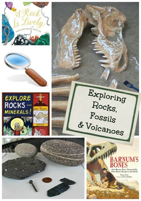 Books & Activities for Kids: Volcanoes, Rocks & Fossils {from @kcedventures} Geology Books, Volcano For Kids, Geology Activities, Hardness Test, Fossils Activities, Fossil Dinosaur, Books And Activities, Earth And Space Science, Kids Science