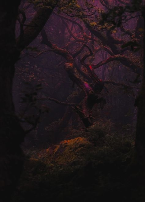 Deep Plum Aesthetic, Dark Purple Nature Aesthetic, Dark Whimsigothic Aesthetic, Nighttime Forest Aesthetic, Red Whimsigoth Aesthetic, Dark World Aesthetic, Unreal Aesthetic, Whimsigoth Background, Dark Spring Aesthetic