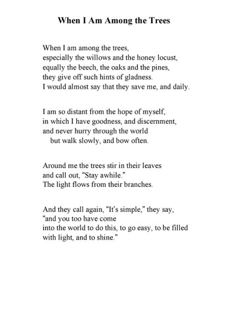 When I am among the trees 🌲 When I Am Among The Trees, When I Am Among The Trees Mary Oliver, Tree Poetry, Yoga Poems, Tree Of Life Quotes, Pretty Poems, Garden Poems, Mary Oliver Quotes, Mary Oliver Poems