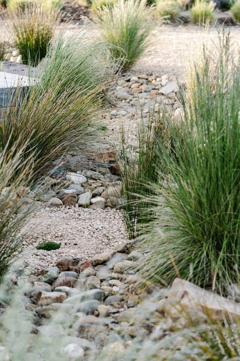 Landscape Garden Design Australia Garden Design Low Maintenance, Uae Heritage, Australian Native Garden Design, Native Garden Design, Dry Riverbed Landscaping, Boulder Garden, Sustainable Garden Design, Australian Native Garden, River Rock Landscaping