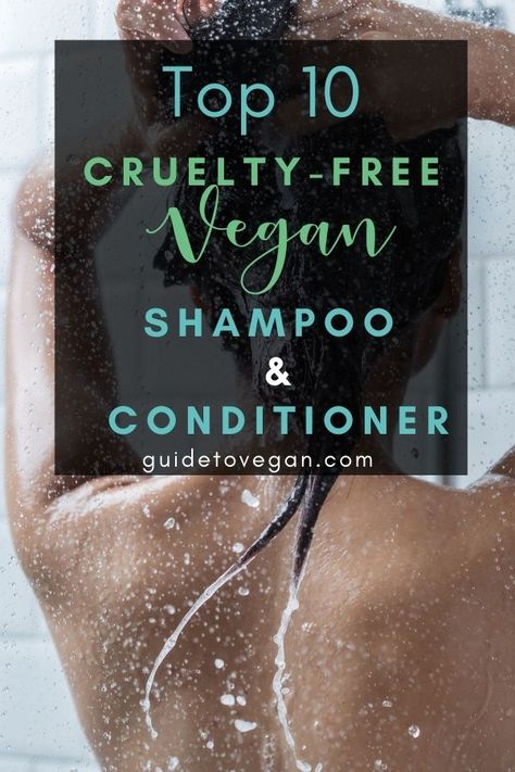 Vegan Beauty Products, Cheap Shampoo And Conditioner For Curly Hair, Best Non Toxic Shampoo, Pink Shampoo, Eco Friendly Shampoo And Conditioner, Fragrance Free Shampoo, Sulphate Free Shampoo In India, Clean Beauty Makeup, Vegan Hair Care