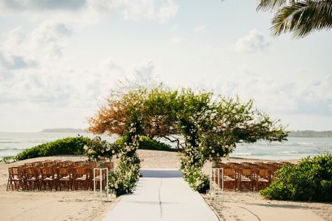 Vibrance at Susurros | Amy Abbott Events | Punta Mita, Mexico Punta Mita Mexico, Wedding Mexico, Mexico Destination Wedding, Team Party, Destination Wedding Mexico, Wedding Vows Renewal, Cabo Weddings, Love And, Destination Wedding Planner