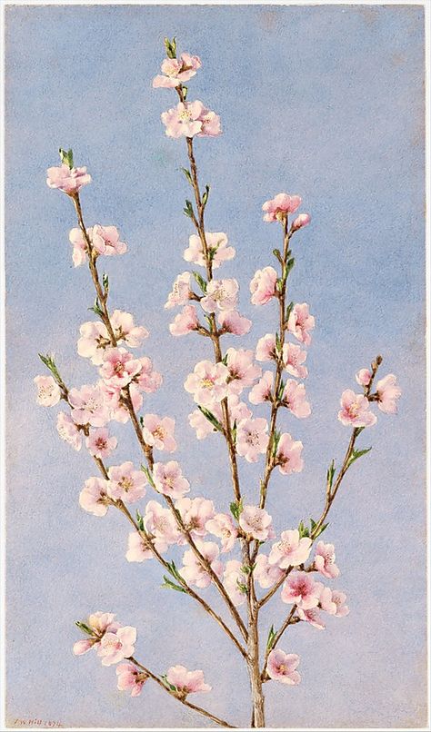 The Met is perfect for those rainy days, where you want nothing to do but stay inside. John Everett Millais, Blossom Print, Blossoms Art, Peach Blossom, Peach Blossoms, Flower Illustration, Vintage Wall Art, Botanical Illustration, Metropolitan Museum Of Art